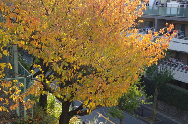 c0324382_21285627.jpg