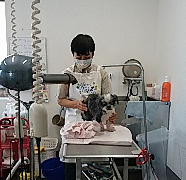 f0280186_1758938.jpg