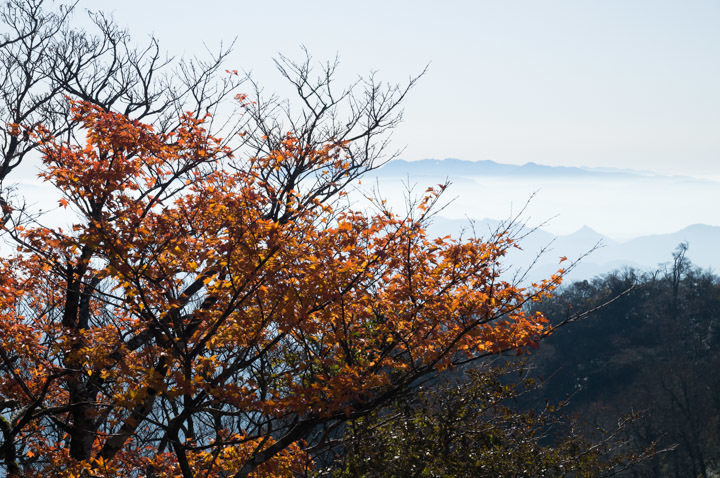 英彦山~岳滅鬼山 2016/11/12_b0229688_16262896.jpg