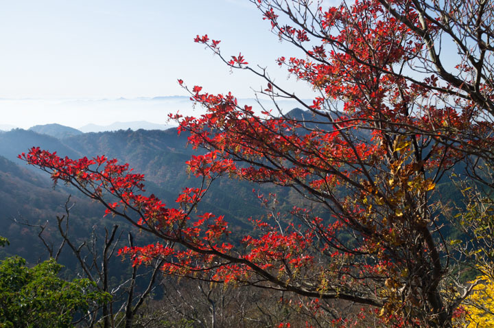 英彦山~岳滅鬼山 2016/11/12_b0229688_16302954.jpg