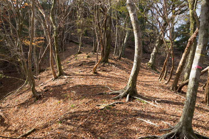 英彦山~岳滅鬼山 2016/11/12_b0229688_16371572.jpg