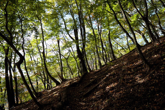 両神山　前編　白井差コースを行く_b0339488_23133536.jpg