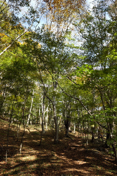 b0339488_23133728.jpg