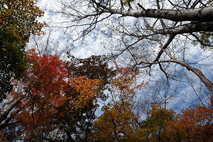 両神山　前編　白井差コースを行く_b0339488_23134784.jpg