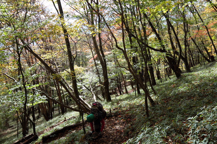 両神山　前編　白井差コースを行く_b0339488_23134989.jpg