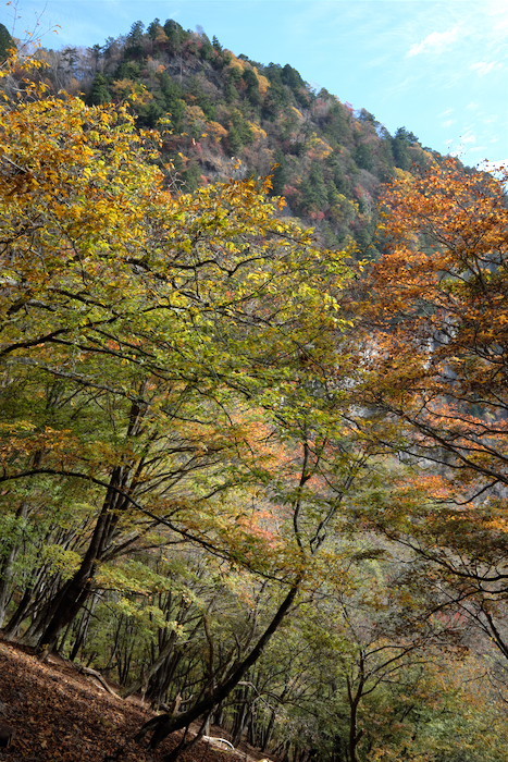 両神山　前編　白井差コースを行く_b0339488_23135095.jpg