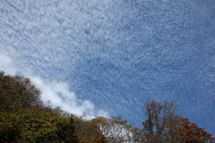 b0339488_23140576.jpg