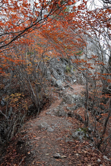 両神山　後編　登頂_b0339488_23142160.jpg