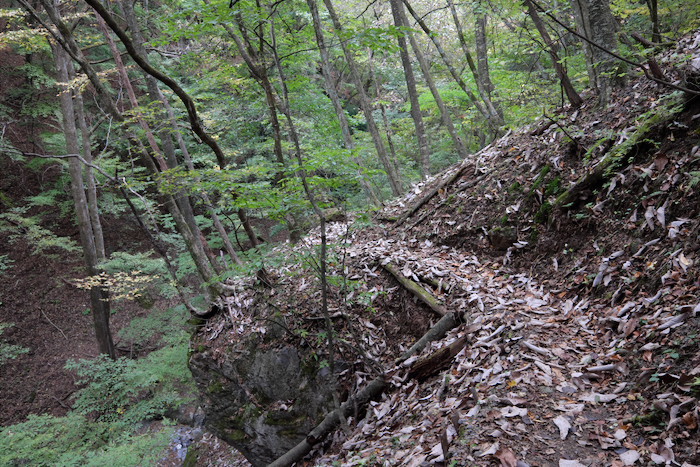 両神山　後編　登頂_b0339488_23285137.jpg