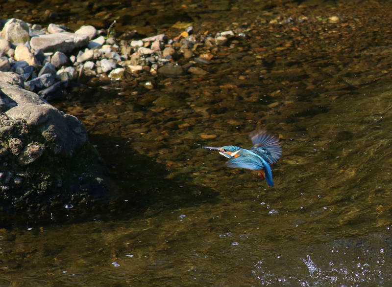 b0223198_14452730.jpg