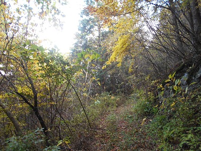 f0308898_1910093.jpg