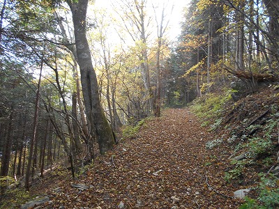 f0308898_1910141.jpg