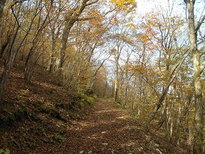 f0308898_19104470.jpg