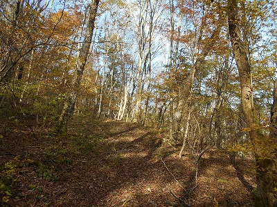 f0308898_19111650.jpg