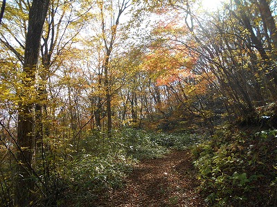 f0308898_191158.jpg