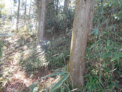 f0308898_19133742.jpg