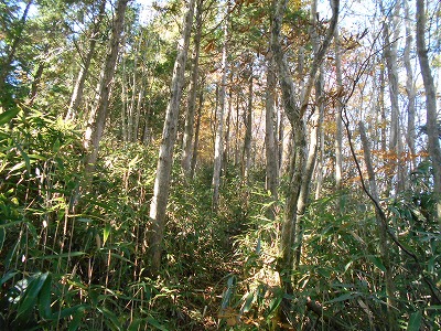 f0308898_19134428.jpg