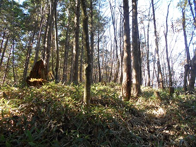 f0308898_1914022.jpg