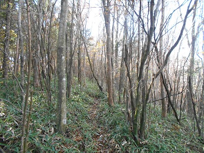 f0308898_19144826.jpg