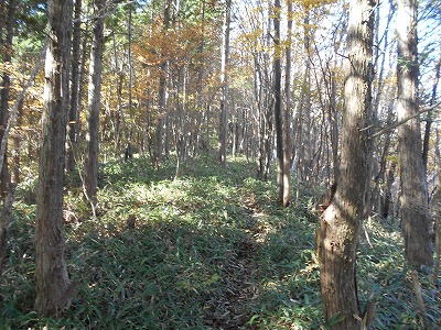 f0308898_191472.jpg