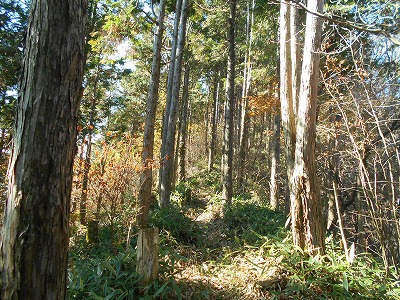 f0308898_19152274.jpg