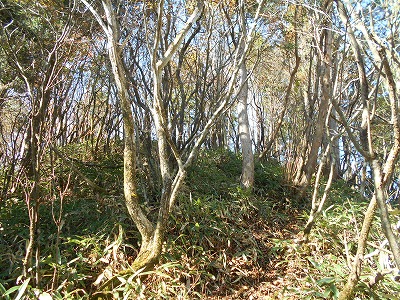 f0308898_19161737.jpg