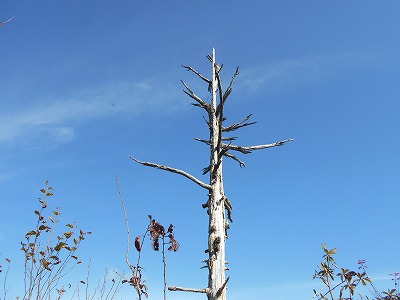 f0308898_19255425.jpg