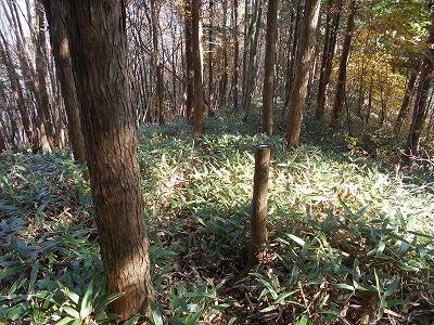 f0308898_19264258.jpg