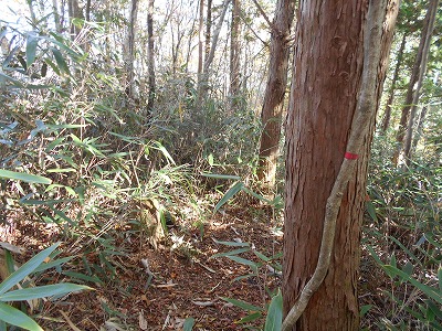 f0308898_1927319.jpg