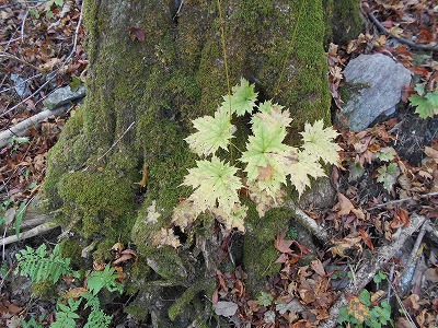 f0308898_19281310.jpg