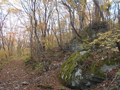 f0308898_19292714.jpg