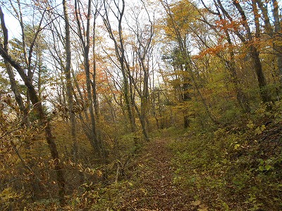f0308898_19293462.jpg