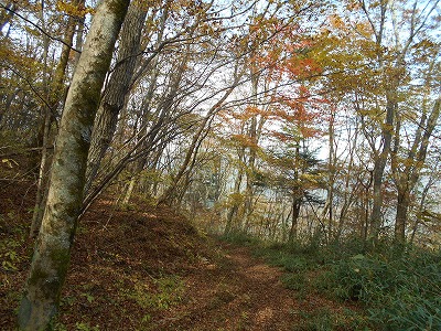 f0308898_19294892.jpg