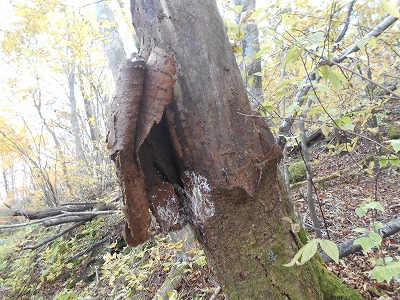 f0308898_19301740.jpg