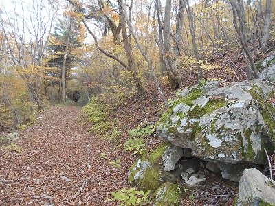 f0308898_19304072.jpg