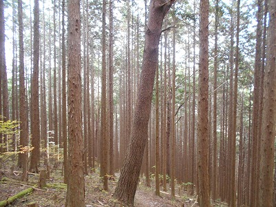 f0308898_19311989.jpg