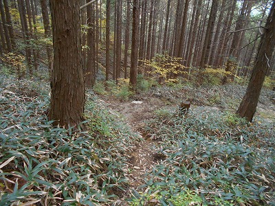 f0308898_19322175.jpg