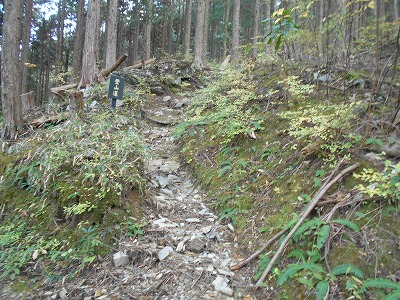 f0308898_19323156.jpg
