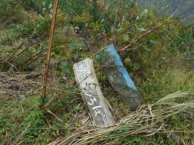 f0308898_19342413.jpg