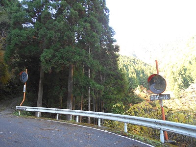 f0308898_1963611.jpg