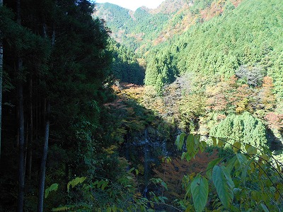 f0308898_1964499.jpg