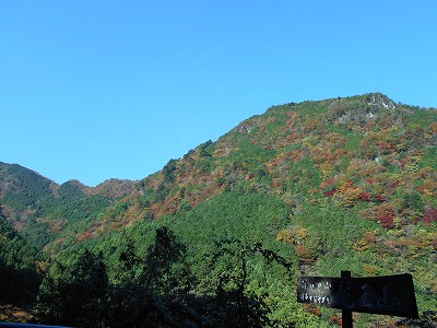 f0308898_1965913.jpg