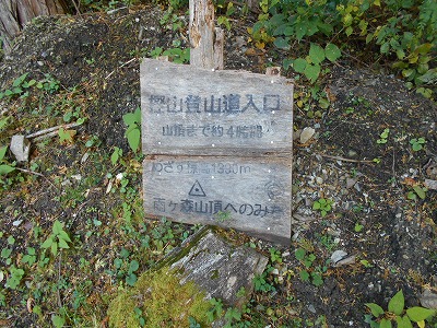 f0308898_1971534.jpg