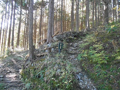 f0308898_1972235.jpg