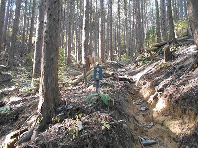 f0308898_1973762.jpg