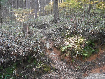 f0308898_1974585.jpg