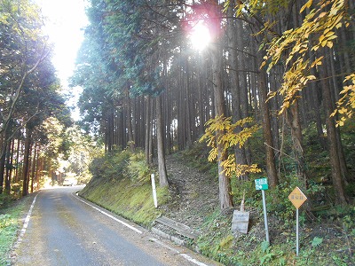 f0308898_197773.jpg