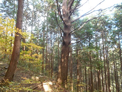 f0308898_19816.jpg