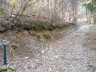f0308898_1991433.jpg