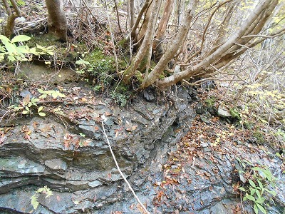 f0308898_1992263.jpg